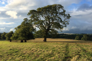 Gisburne Park Weddings, Ribble Valley Weddings, Pocketful of Dreams, Ribble Valley Wedding Planner & Wedding Stylist, Lancashire Wedding Venue